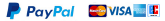 payment logo